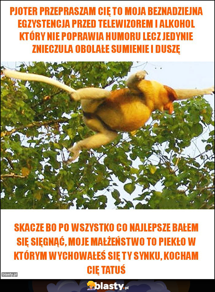 pjoter przepraszam cię to moja beznadziejna egzystencja przed telewizorem i alkohol który nie poprawia humoru lecz jedynie znieczula obolałe sumienie i duszę pjoter przepraszam cię to moja beznadziejna egzystencja przed telewizorem i alkohol który nie poprawia humoru lecz jedynie znieczula obolałe sumienie i duszę