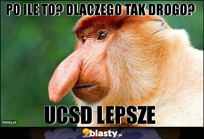 Po ile to? Dlaczego tak drogo? Po ile to? Dlaczego tak drogo?