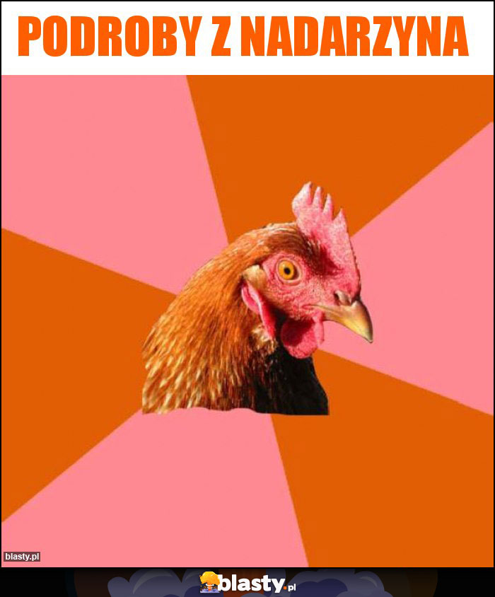 Podroby z nadarzyna Podroby z nadarzyna