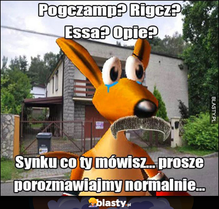 Pogczamp? Rigcz? Essa? Opie? Synku co ty mówisz, proszę porozmawiajmy normalnie