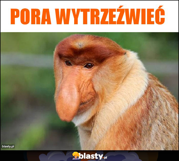 Pora wytrzeźwieć Pora wytrzeźwieć