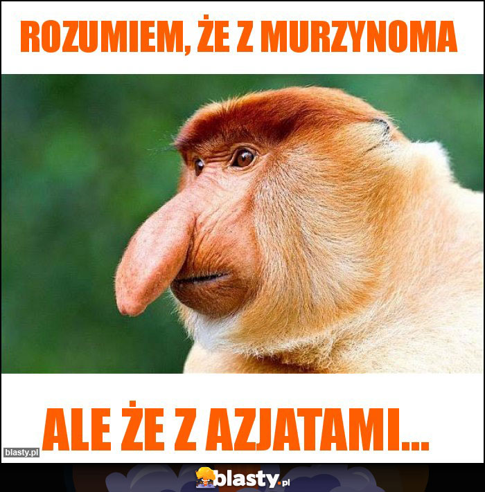 Rozumiem, że z murzynoma Rozumiem, że z murzynoma