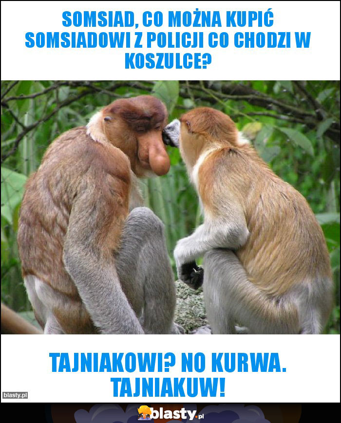 Somsiad, co można kupić somsiadowi z policji co chodzi w koszulce? Somsiad, co można kupić somsiadowi z policji co chodzi w koszulce?