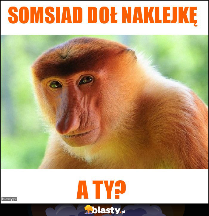 Somsiad doł naklejkę Somsiad doł naklejkę