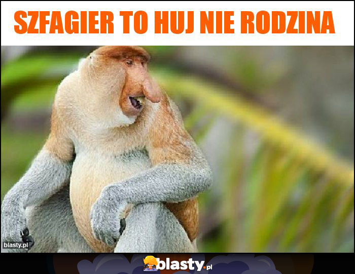 Szfagier to huj nie rodzina Szfagier to huj nie rodzina
