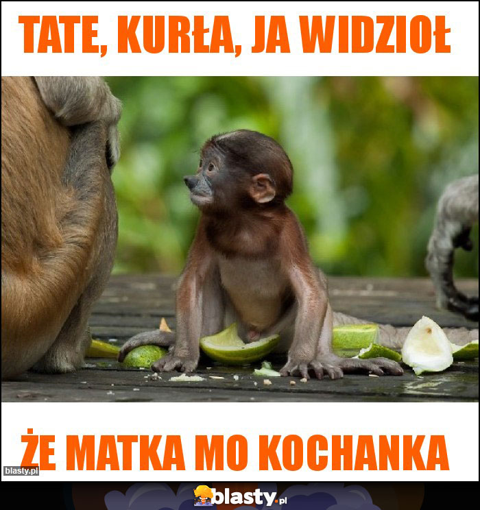 Tate, kurła, ja widzioł Tate, kurła, ja widzioł