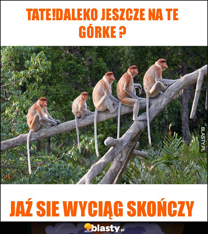 tate!daleko jeszcze na te górke ? tate!daleko jeszcze na te górke ?