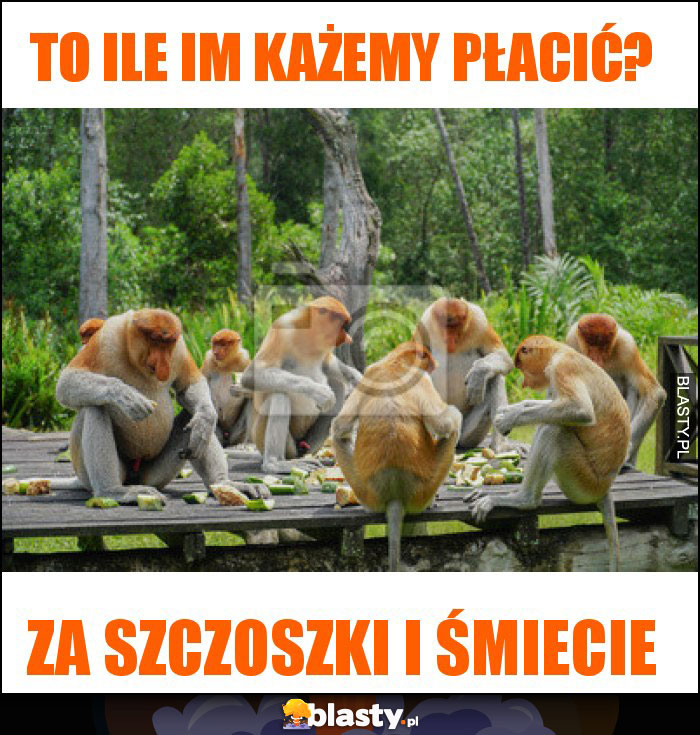 to ile im każemy płacić? to ile im każemy płacić?