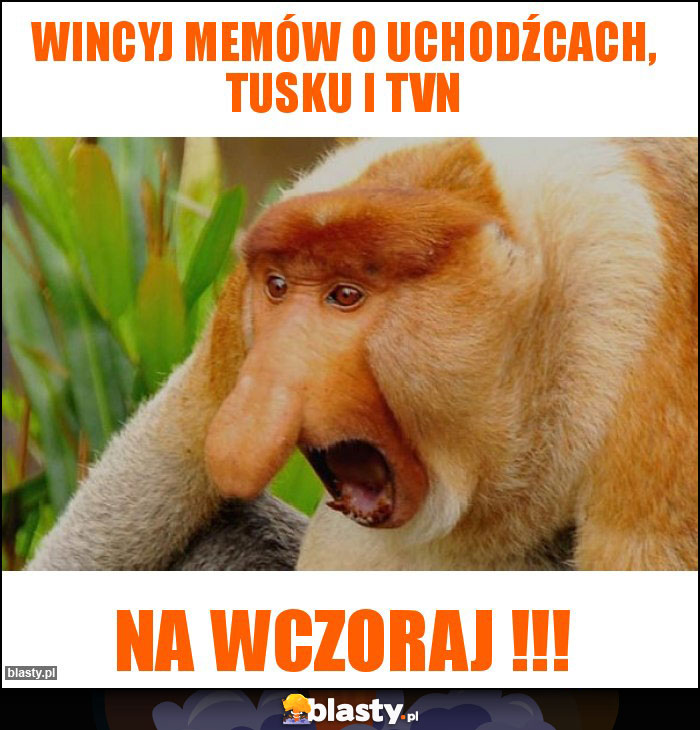 WINCYJ MEMÓW O UCHODŹCACH, TUSKU I TVN WINCYJ MEMÓW O UCHODŹCACH, TUSKU I TVN