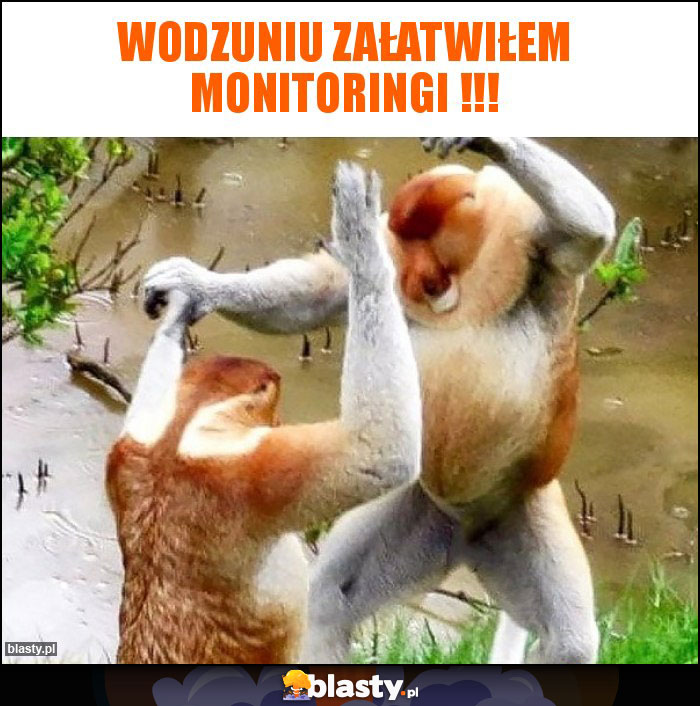 Wodzuniu załatwiłem monitoringi !!! Wodzuniu załatwiłem monitoringi !!!