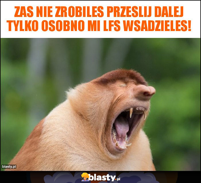 Zas nie zrobiles przeslij dalej tylko osobno mi lfs wsadzieles! Zas nie zrobiles przeslij dalej tylko osobno mi lfs wsadzieles!