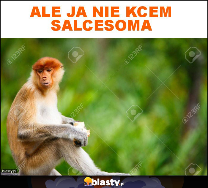 ALE JA NIE KCEM SALCESOMA ALE JA NIE KCEM SALCESOMA