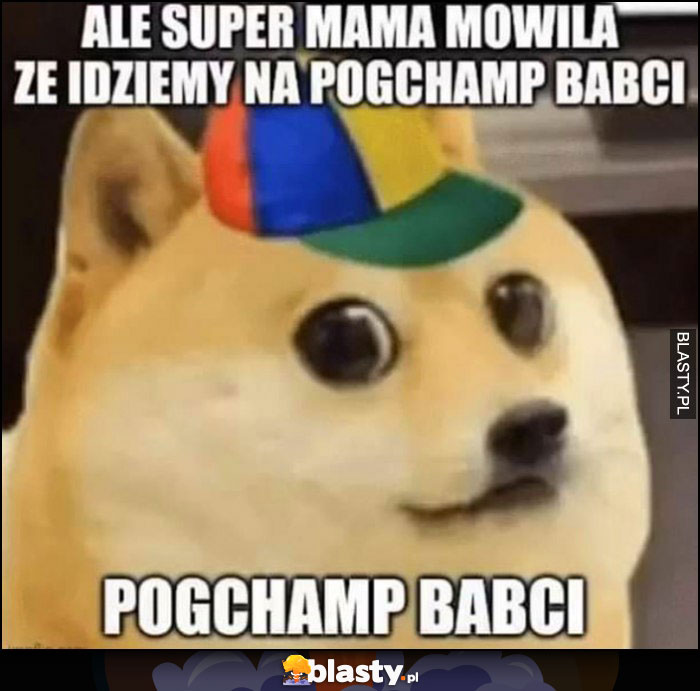 Ale super mama mówiła że idziemy na pogchamp babci pogrzeb pies pieseł doge