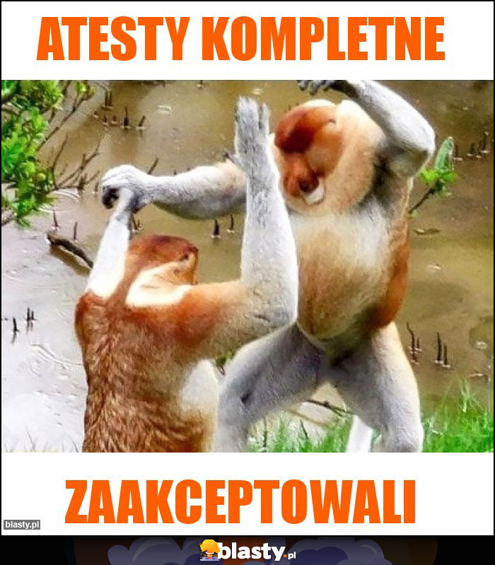 Atesty kompletne Atesty kompletne