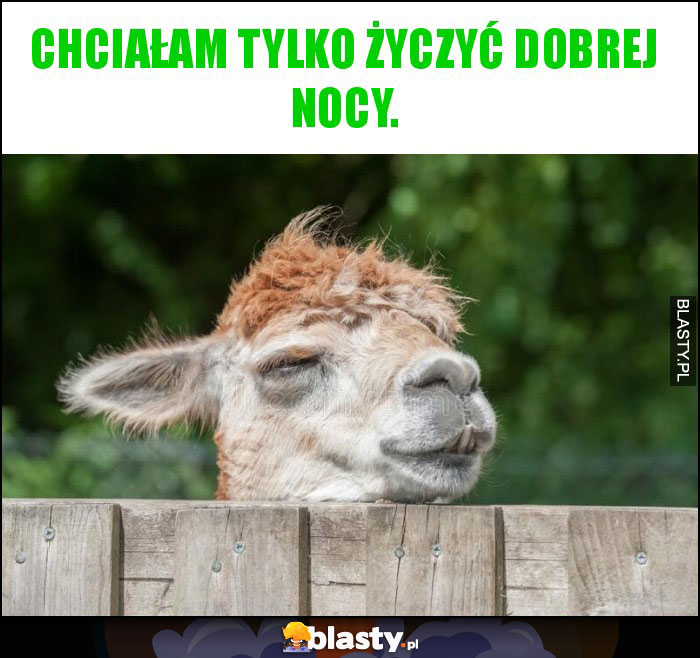Chciałam tylko życzyć dobrej nocy. Chciałam tylko życzyć dobrej nocy.