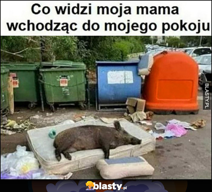 Co widzi moja mama wchodząc do mojego pokoju bałagan syf dzik leży na materacu