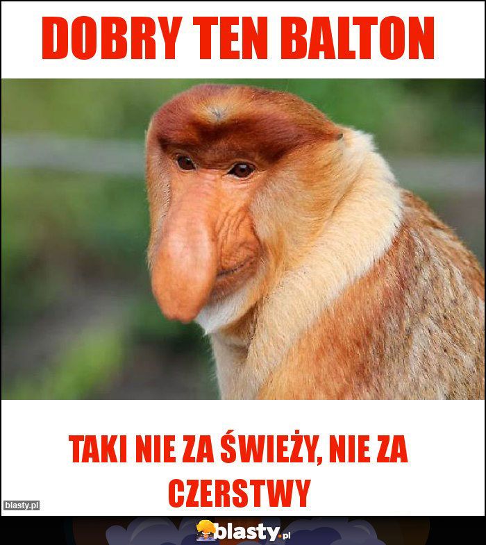 Dobry ten BALTON Dobry ten BALTON