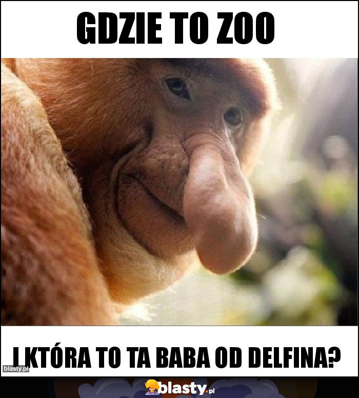 Gdzie to zoo Gdzie to zoo