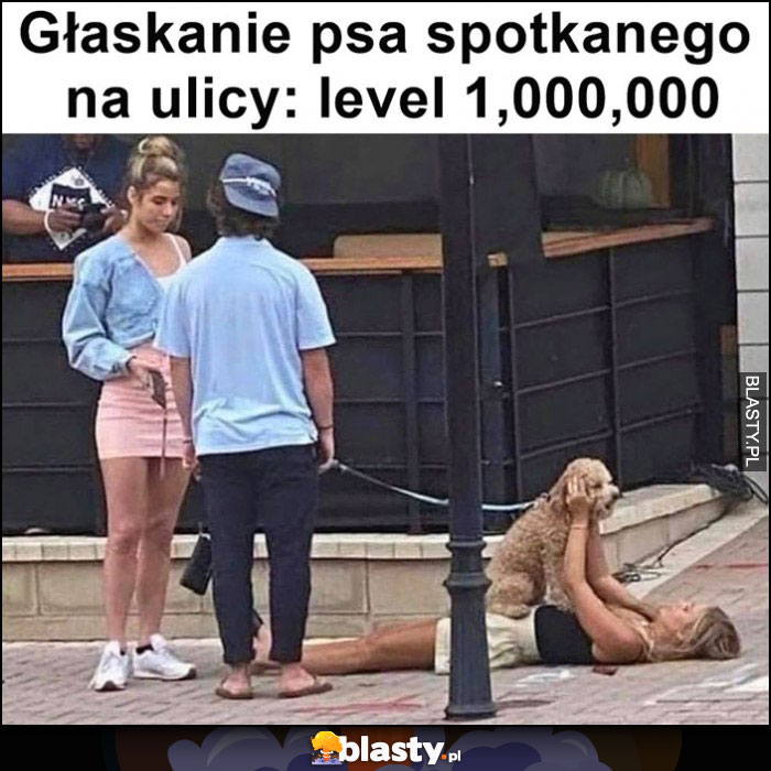 Głaskanie psa spotkanego na ulicy level milion leży na chodniku