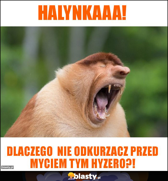 Halynkaaa! Halynkaaa!