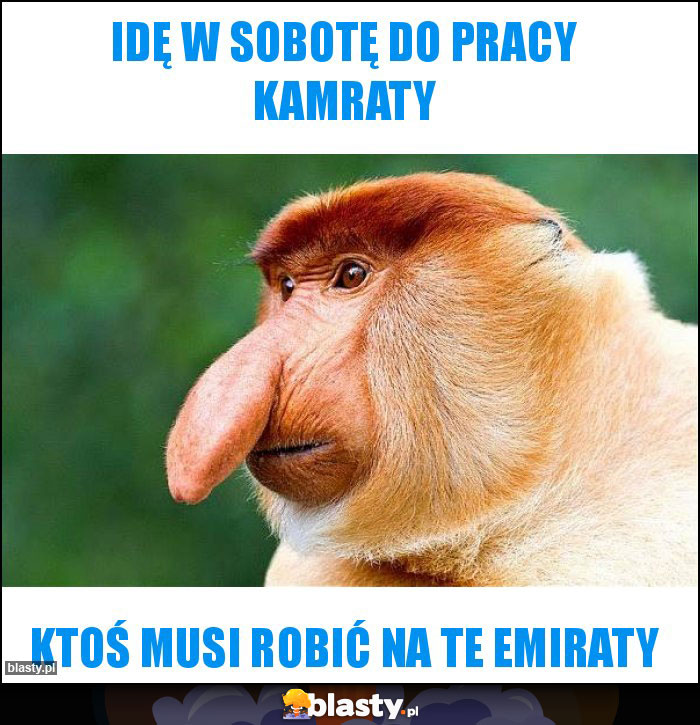 Idę w sobotę do pracy kamraty Idę w sobotę do pracy kamraty