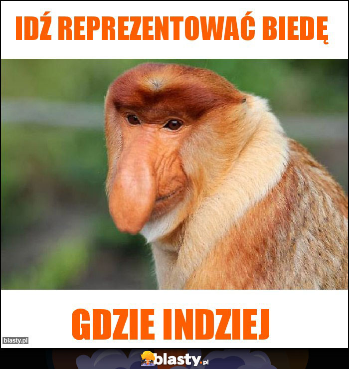 Idź reprezentować biedę Idź reprezentować biedę