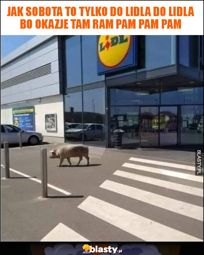 jak sobota to tylko do lidla do lidla bo okazje tam ram pam pam pam jak sobota to tylko do lidla do lidla bo okazje tam ram pam pam pam