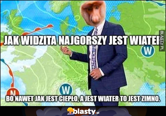 Jak widzita najgorszy jest wiater, bo nawet jak jest ciepło a jest wiater to jest zimno Polak nosacz prognoza pogody