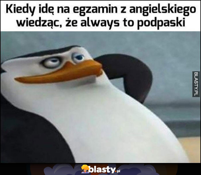 Kiedy idę na egzamin z angielskiego wiedząc, że always to podpaski pingwin