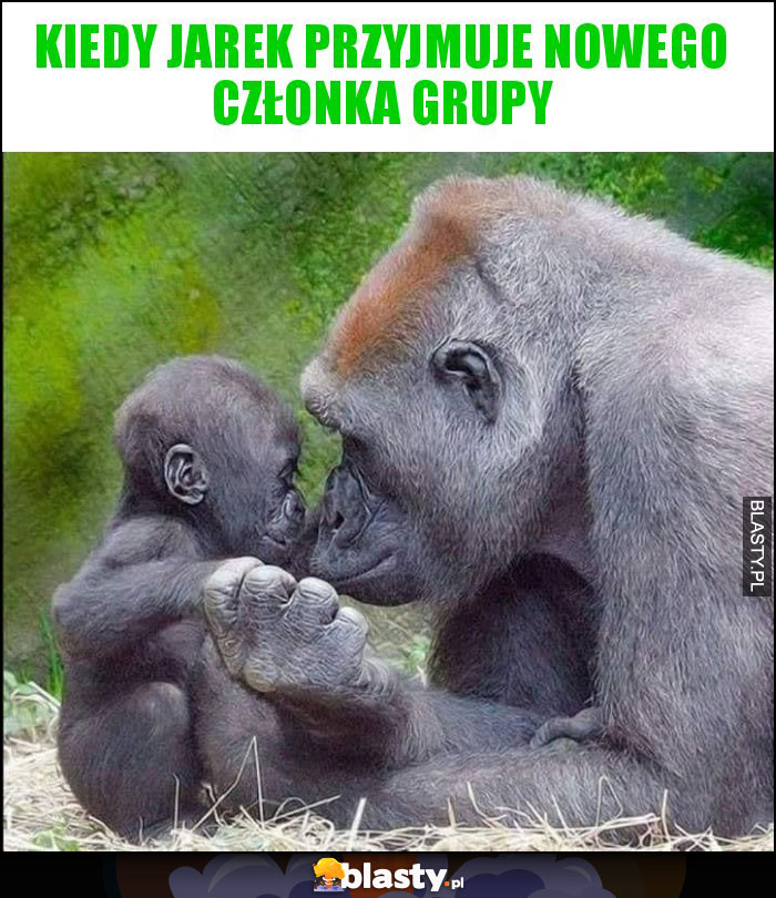 Kiedy Jarek przyjmuje nowego członka grupy Kiedy Jarek przyjmuje nowego członka grupy