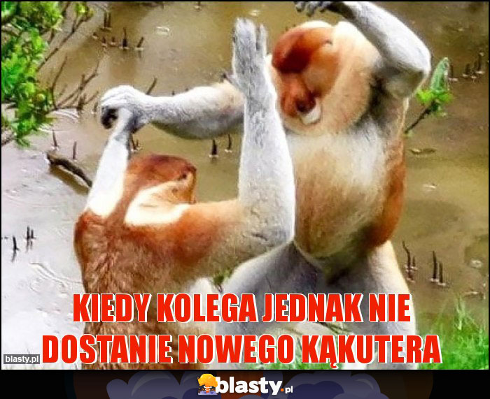 Kiedy kolega jednak nie dostanie nowego kąkutera Kiedy kolega jednak nie dostanie nowego kąkutera