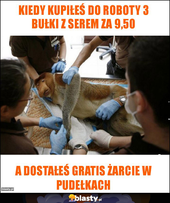 Kiedy kupiłeś do roboty 3 bułki z serem za 9,50 Kiedy kupiłeś do roboty 3 bułki z serem za 9,50