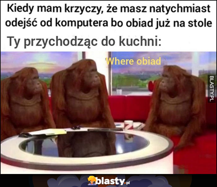 Kiedy mama krzyczy że masz natychmiast odejść od komputera bo obiad już na stole, ty przychodząc do kuchni: where obiad małpy szympansy