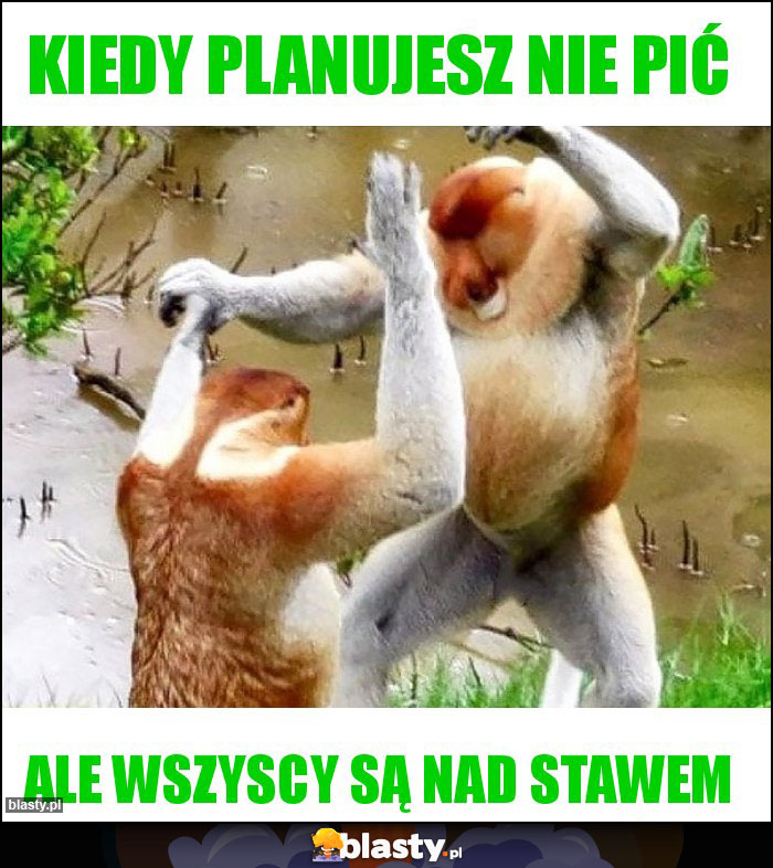 Kiedy planujesz nie pić Kiedy planujesz nie pić
