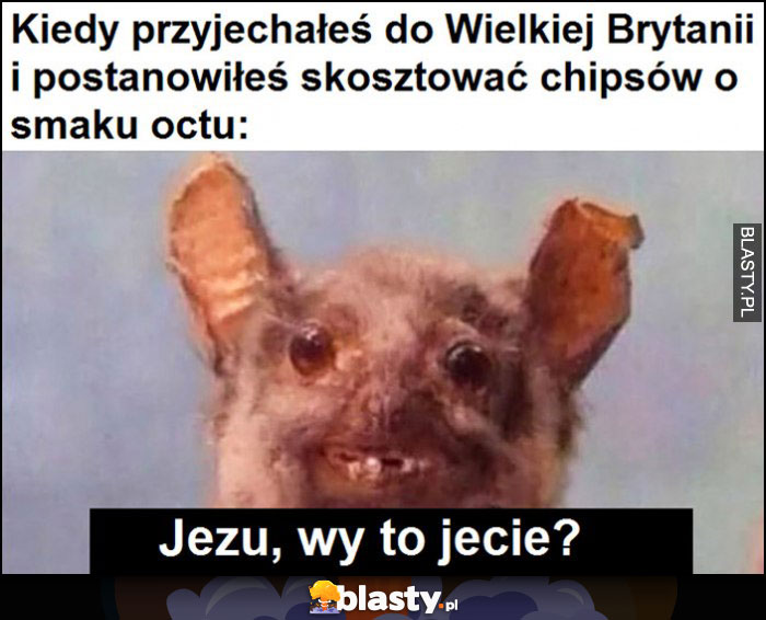 Kiedy przyjechałeś do Wielkiej Brytanii i postanowyłeś skosztować chipsów o smaku octu: Jezu, wy to jecie?