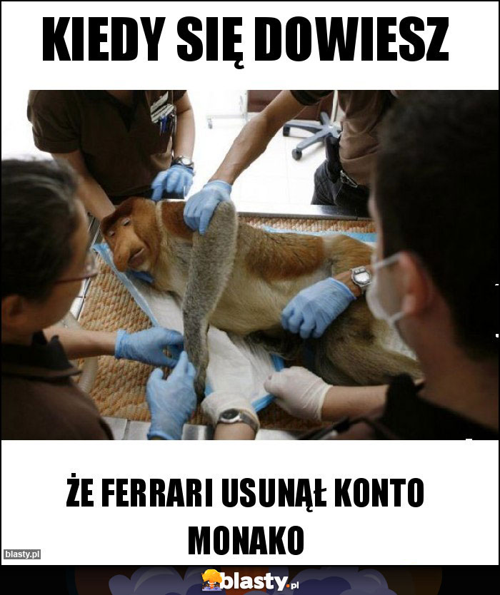 Kiedy się dowiesz Kiedy się dowiesz