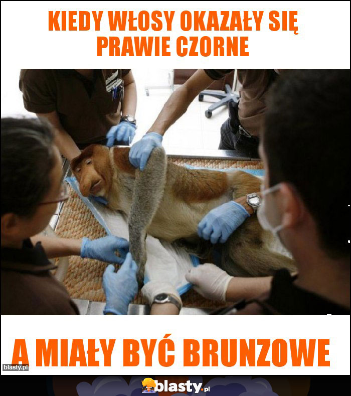 Kiedy włosy okazały się prawie czorne Kiedy włosy okazały się prawie czorne