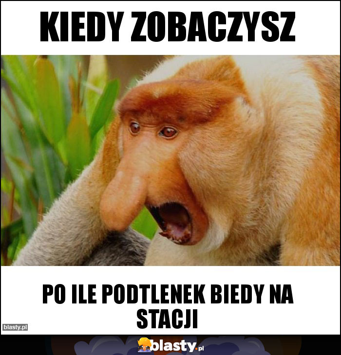 Kiedy zobaczysz Kiedy zobaczysz