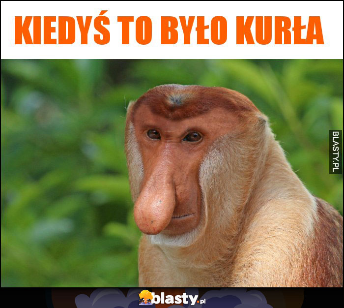 kiedyś to było kurła kiedyś to było kurła
