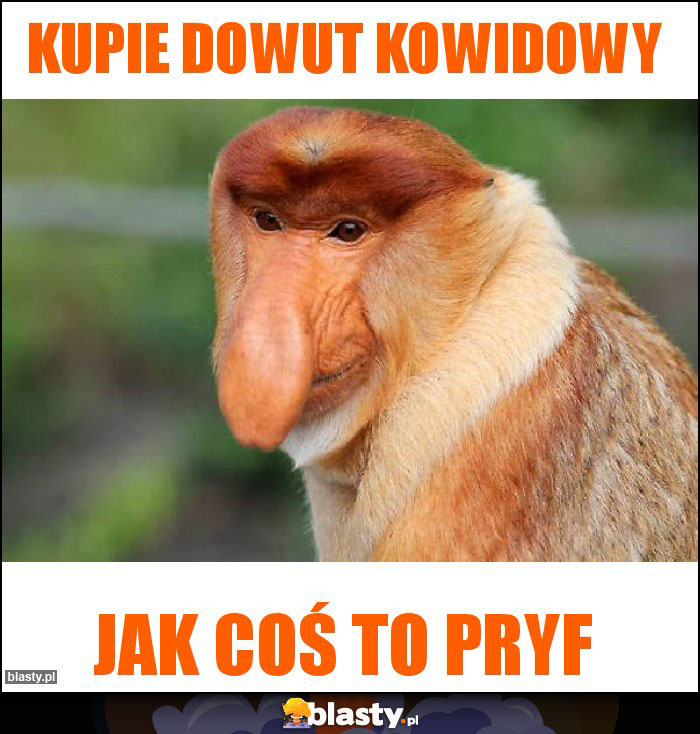 Kupie dowut kowidowy Kupie dowut kowidowy