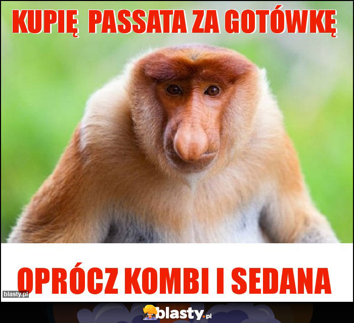 kupię passata za gotówkę kupię passata za gotówkę