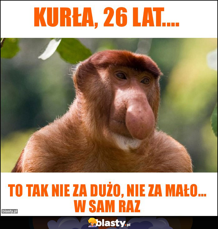 KURŁA, 26 lat.... KURŁA, 26 lat....