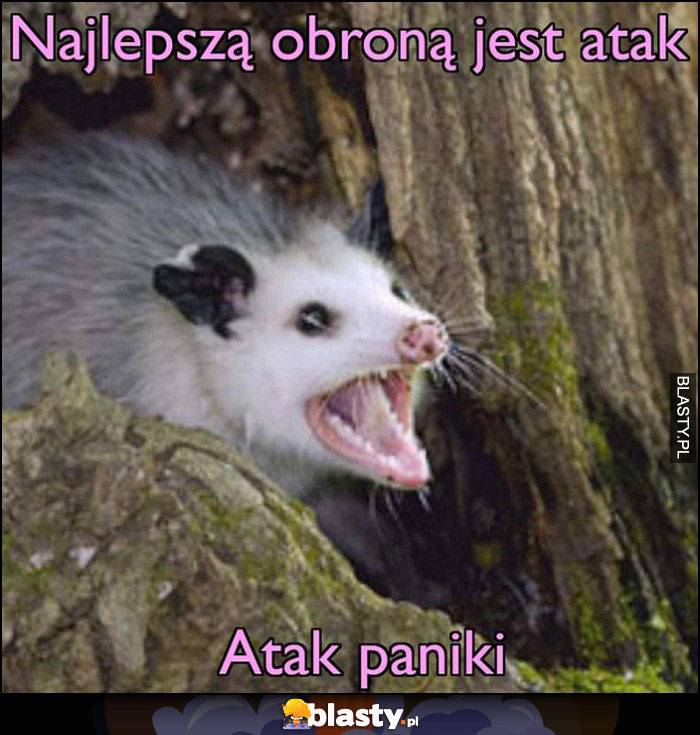 Najlepszą obroną jest atak, atak paniki