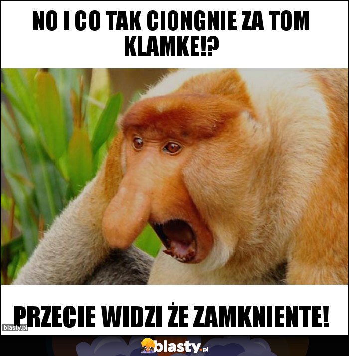 NO I CO TAK CIONGNIE ZA TOM KLAMKE!? NO I CO TAK CIONGNIE ZA TOM KLAMKE!?
