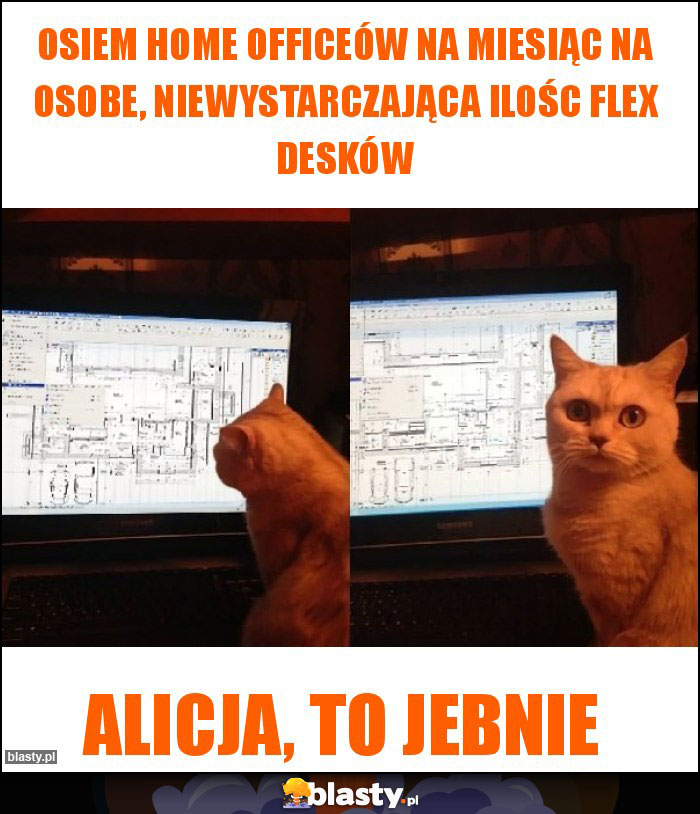 Osiem home officeów na miesiąc na osobe, niewystarczająca ilośc flex desków Osiem home officeów na miesiąc na osobe, niewystarczająca ilośc flex desków