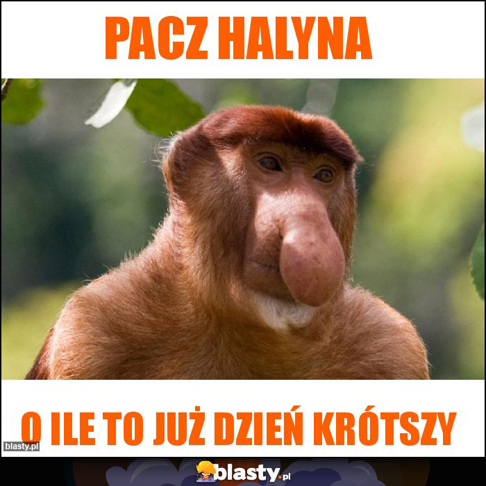 Pacz Halyna Pacz Halyna