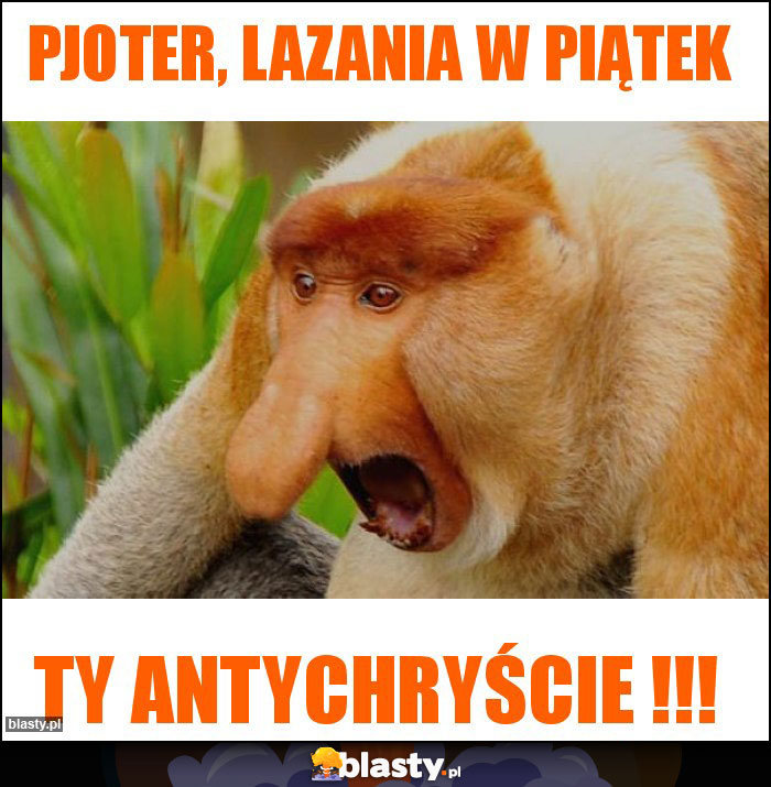 PJOTER, LAZANIA W PIĄTEK PJOTER, LAZANIA W PIĄTEK