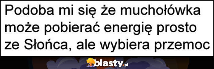 Podoba mi się że muchołówka może pobierać energię prosto ze słońca, ale wybiera przemoc