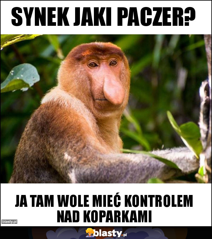 Synek jaki paczer? Synek jaki paczer?