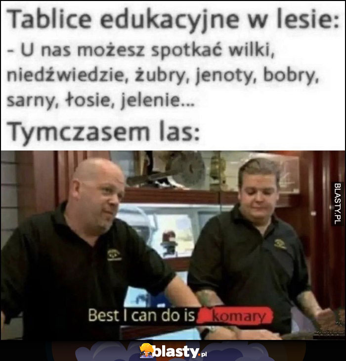 Tablice edukacyjne w lesie: możesz tu spotkać różne zwierzęta, tymczasem las: bez I can do is komary